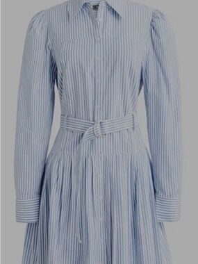 J. Crew Light Blue and White Striped Belted Shirt Dress